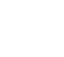 Lev Comida